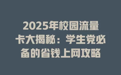 2025年校园流量卡大揭秘：学生党必备的省钱上网攻略