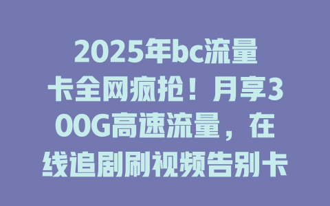 2025年bc流量卡全网疯抢！月享300G高速流量，在线追剧刷视频告别卡顿