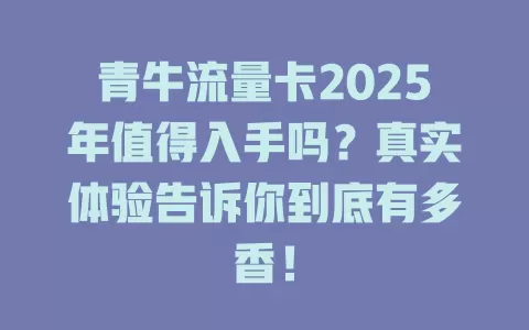 青牛流量卡2025年值得入手吗？真实体验告诉你到底有多香！