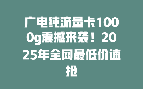 广电纯流量卡1000g震撼来袭！2025年全网最低价速抢