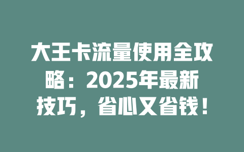 大王卡流量使用全攻略：2025年最新技巧，省心又省钱！