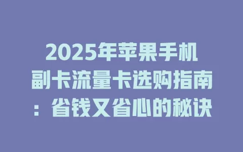2025年苹果手机副卡流量卡选购指南：省钱又省心的秘诀