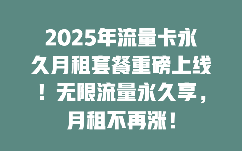 2025年流量卡永久月租套餐重磅上线！无限流量永久享，月租不再涨！