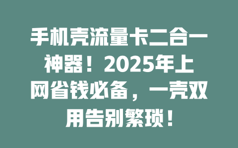 手机壳流量卡二合一神器！2025年上网省钱必备，一壳双用告别繁琐！