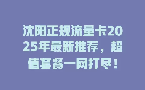 沈阳正规流量卡2025年最新推荐，超值套餐一网打尽！