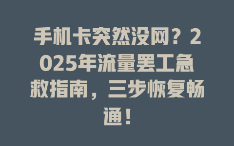 手机卡突然没网？2025年流量罢工急救指南，三步恢复畅通！