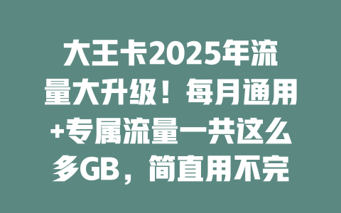 大王卡2025年流量大升级！每月通用+专属流量一共这么多GB，简直用不完！