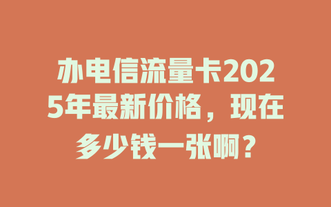 办电信流量卡2025年最新价格，现在多少钱一张啊？