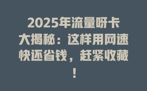 2025年流量呀卡大揭秘：这样用网速快还省钱，赶紧收藏！