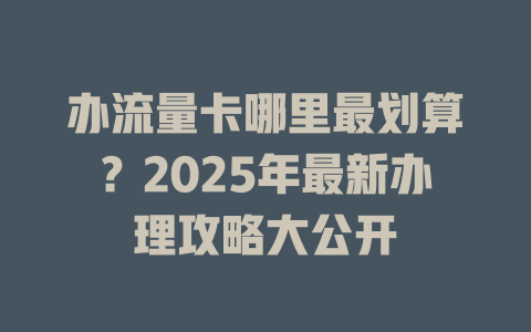 办流量卡哪里最划算？2025年最新办理攻略大公开
