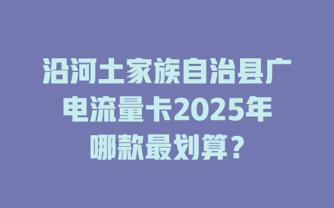 沿河土家族自治县广电流量卡2025年哪款最划算？