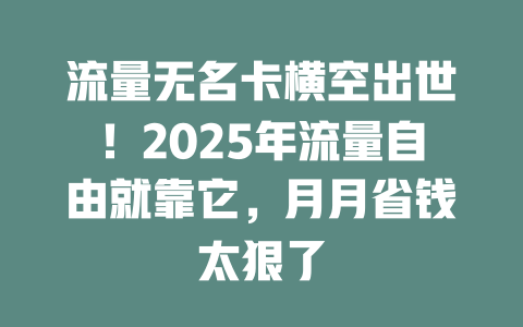 流量无名卡横空出世！2025年流量自由就靠它，月月省钱太狠了