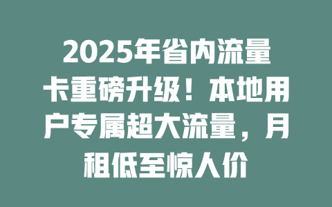 2025年省内流量卡重磅升级！本地用户专属超大流量，月租低至惊人价