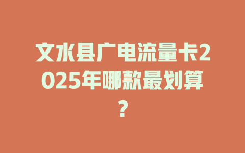 文水县广电流量卡2025年哪款最划算？