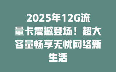 2025年12G流量卡震撼登场！超大容量畅享无忧网络新生活