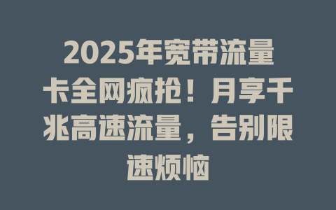 2025年宽带流量卡全网疯抢！月享千兆高速流量，告别限速烦恼