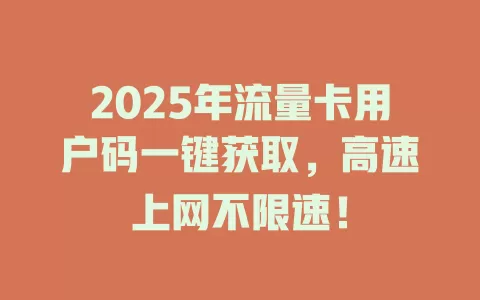 2025年流量卡用户码一键获取，高速上网不限速！