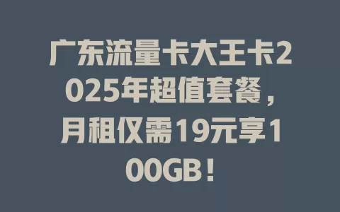 广东流量卡大王卡2025年超值套餐，月租仅需19元享100GB！