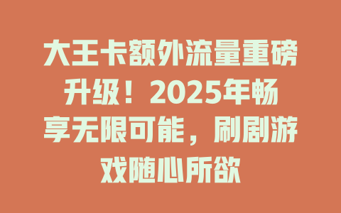 大王卡额外流量重磅升级！2025年畅享无限可能，刷剧游戏随心所欲
