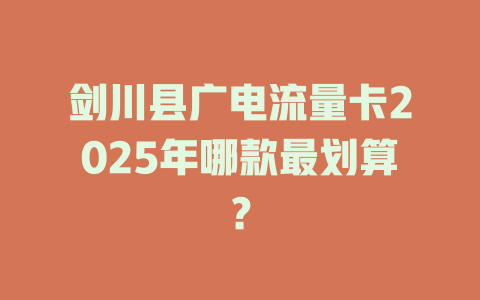 剑川县广电流量卡2025年哪款最划算？