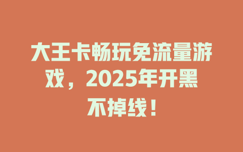 大王卡畅玩免流量游戏，2025年开黑不掉线！