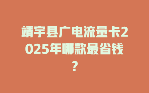 靖宇县广电流量卡2025年哪款最省钱？