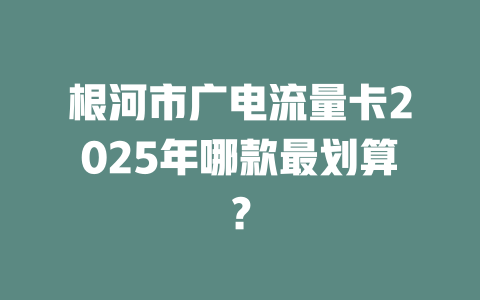 根河市广电流量卡2025年哪款最划算？