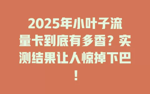2025年小叶子流量卡到底有多香？实测结果让人惊掉下巴！