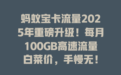 蚂蚁宝卡流量2025年重磅升级！每月100GB高速流量白菜价，手慢无！