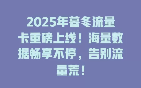 2025年暮冬流量卡重磅上线！海量数据畅享不停，告别流量荒！