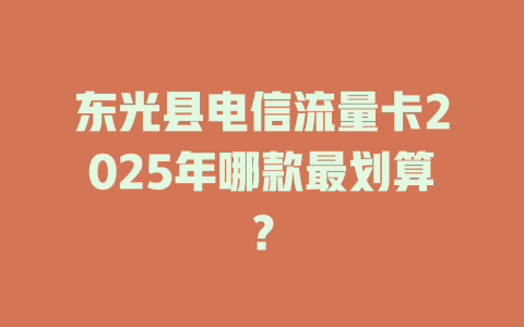 东光县电信流量卡2025年哪款最划算？