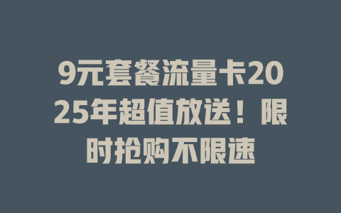 9元套餐流量卡2025年超值放送！限时抢购不限速