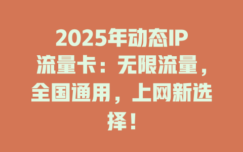 2025年动态IP流量卡：无限流量，全国通用，上网新选择！