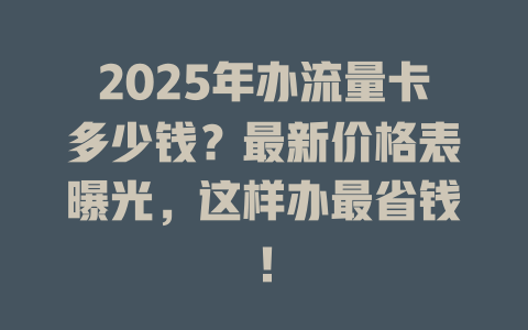 2025年办流量卡多少钱？最新价格表曝光，这样办最省钱！