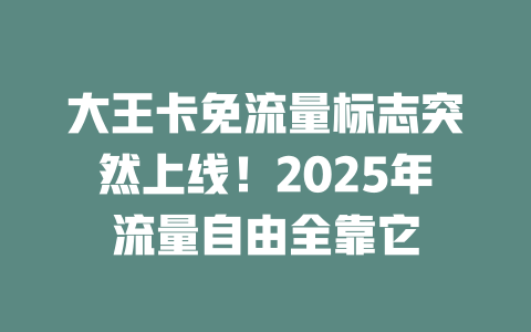 大王卡免流量标志突然上线！2025年流量自由全靠它