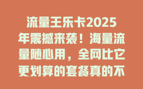 流量王乐卡2025年震撼来袭！海量流量随心用，全网比它更划算的套餐真的不多了