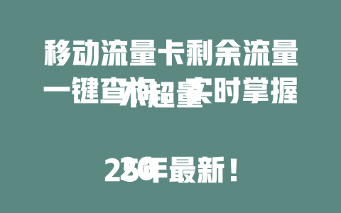 移动流量卡剩余流量一键查询，实时掌握不超量  

2025年最新！