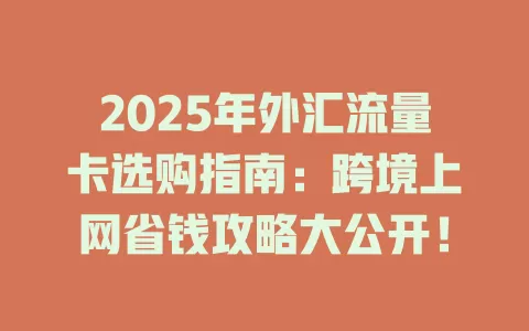 2025年外汇流量卡选购指南：跨境上网省钱攻略大公开！