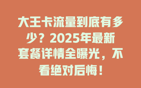 大王卡流量到底有多少？2025年最新套餐详情全曝光，不看绝对后悔！