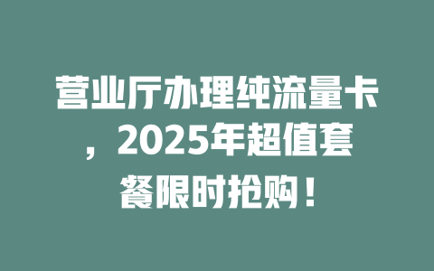 营业厅办理纯流量卡，2025年超值套餐限时抢购！