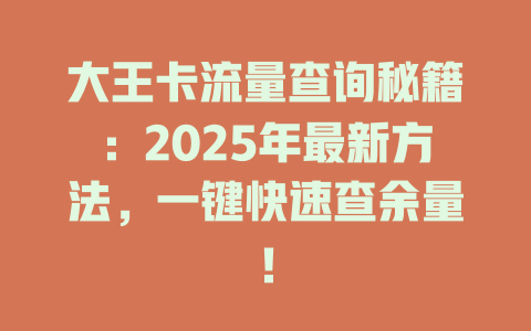 大王卡流量查询秘籍：2025年最新方法，一键快速查余量！