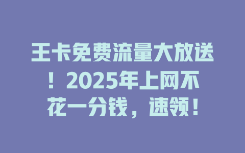 王卡免费流量大放送！2025年上网不花一分钱，速领！