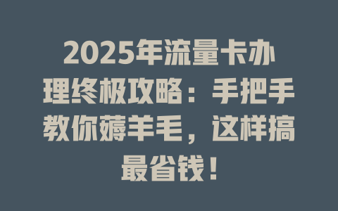 2025年流量卡办理终极攻略：手把手教你薅羊毛，这样搞最省钱！