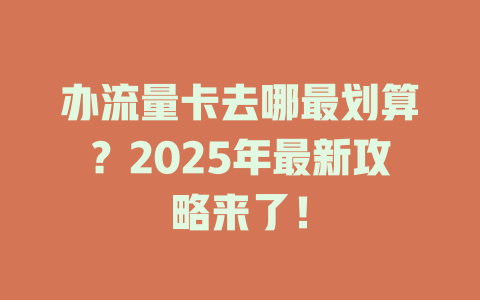 办流量卡去哪最划算？2025年最新攻略来了！