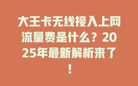 大王卡无线接入上网流量费是什么？2025年最新解析来了！
