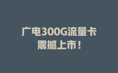 广电300G流量卡震撼上市！