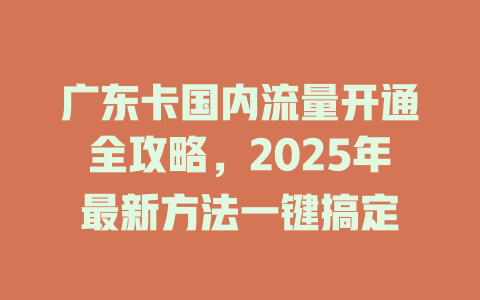 广东卡国内流量开通全攻略，2025年最新方法一键搞定