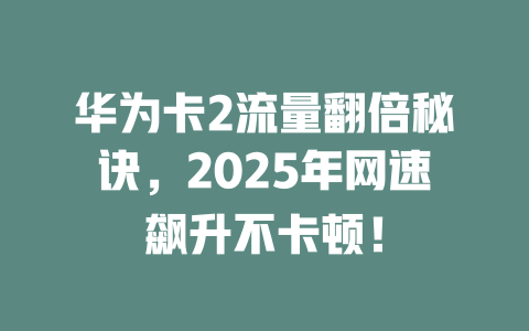 华为卡2流量翻倍秘诀，2025年网速飙升不卡顿！