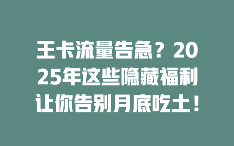 王卡流量告急？2025年这些隐藏福利让你告别月底吃土！
