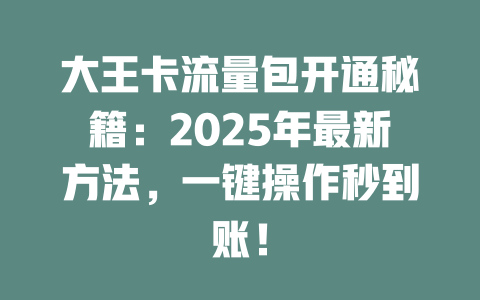 大王卡流量包开通秘籍：2025年最新方法，一键操作秒到账！